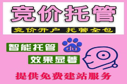 成功SEM托管代运营案例分析